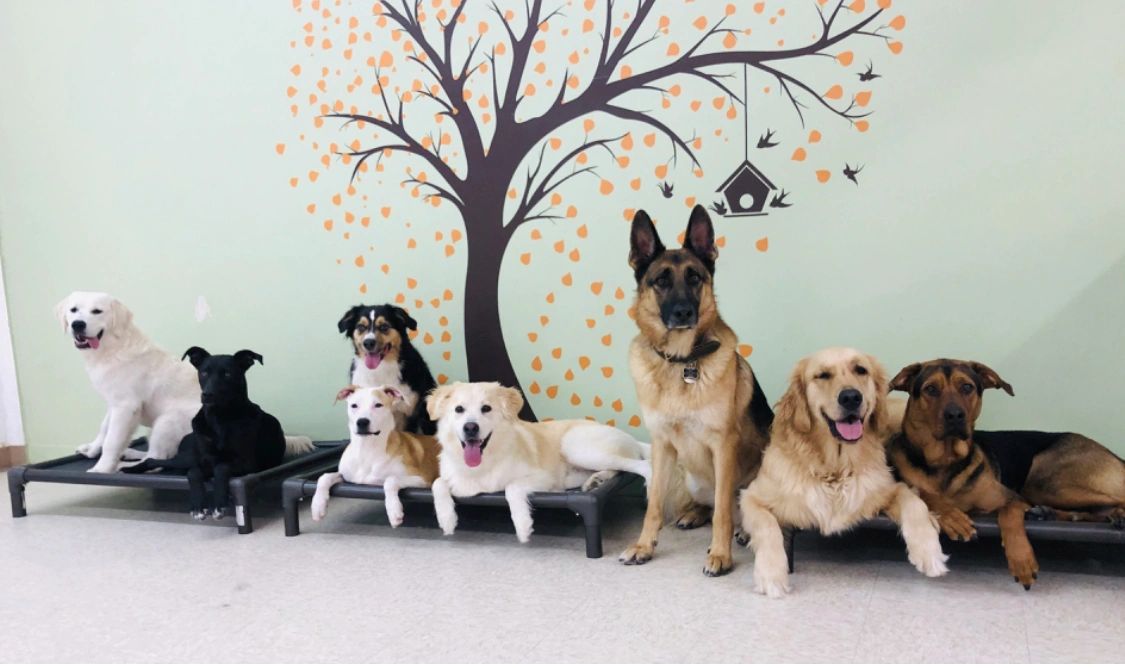 Daycare fun in San Diego