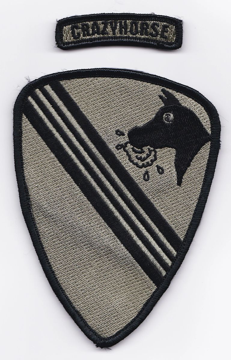 Crazyhorse 1st CAV Patch and Tab