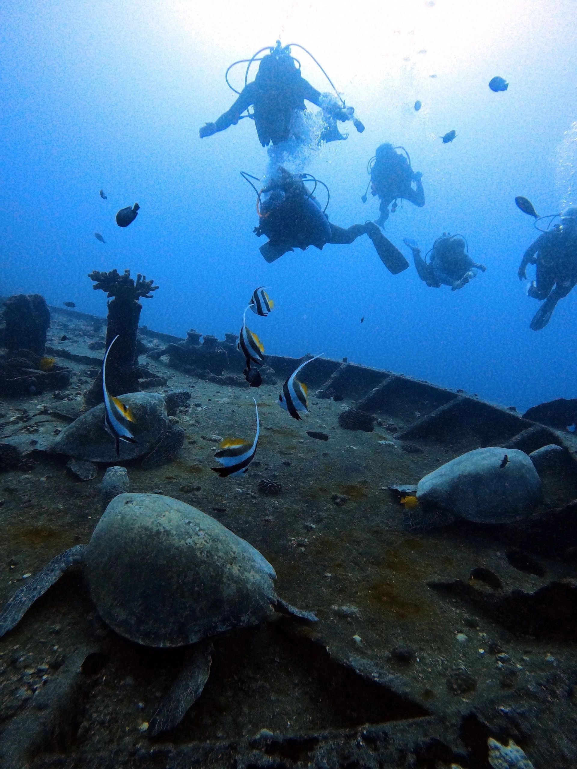 PADI Advanced Open Water Divers check out a wreck dive in Honolulu
