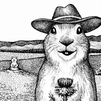 Nori the Prairie Dog