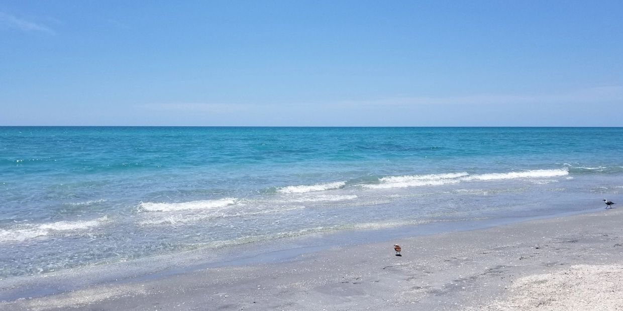 Calm beach with gentle waves and clear blue sky.