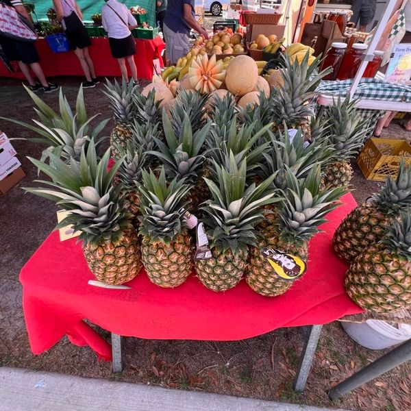 Fresh pineapples displayed on a red tablecloth at a market.