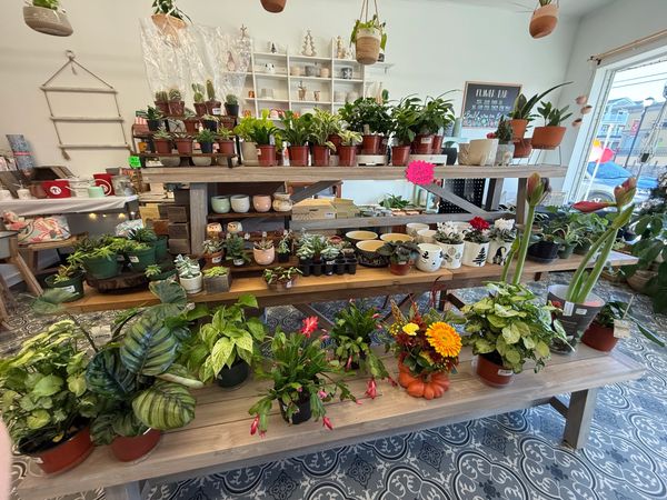 Inside the store