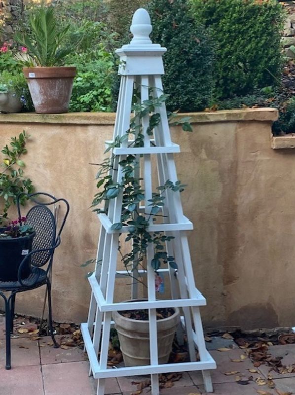 Garden obelisk with plant climbing up 