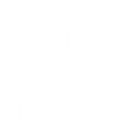 Barloa Cacao