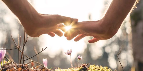 Two hands almost touching with sunlight shining through, above small flowers on mossy ground.