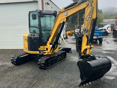 Cat Mini-Excavator with claw