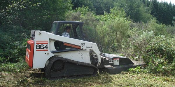 Brush Cutting, and Clearing