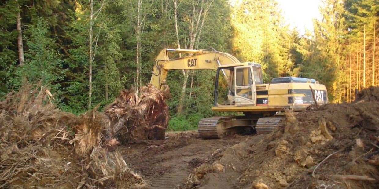 Cat Excavator clearing forest