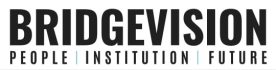 Bridge Vision LLC