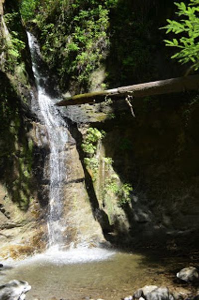 Maple Falls in The Forest of Nisene Marks