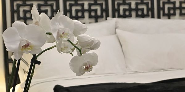 All Our Beds Feature Matouk and Frette Linens.