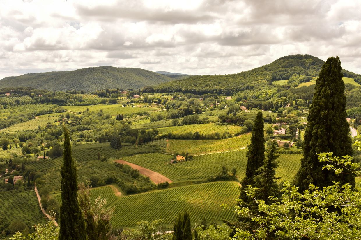 Tuscan landscape. Cypress trees, vineyards, villas, castles. Vacation in style. Vacation