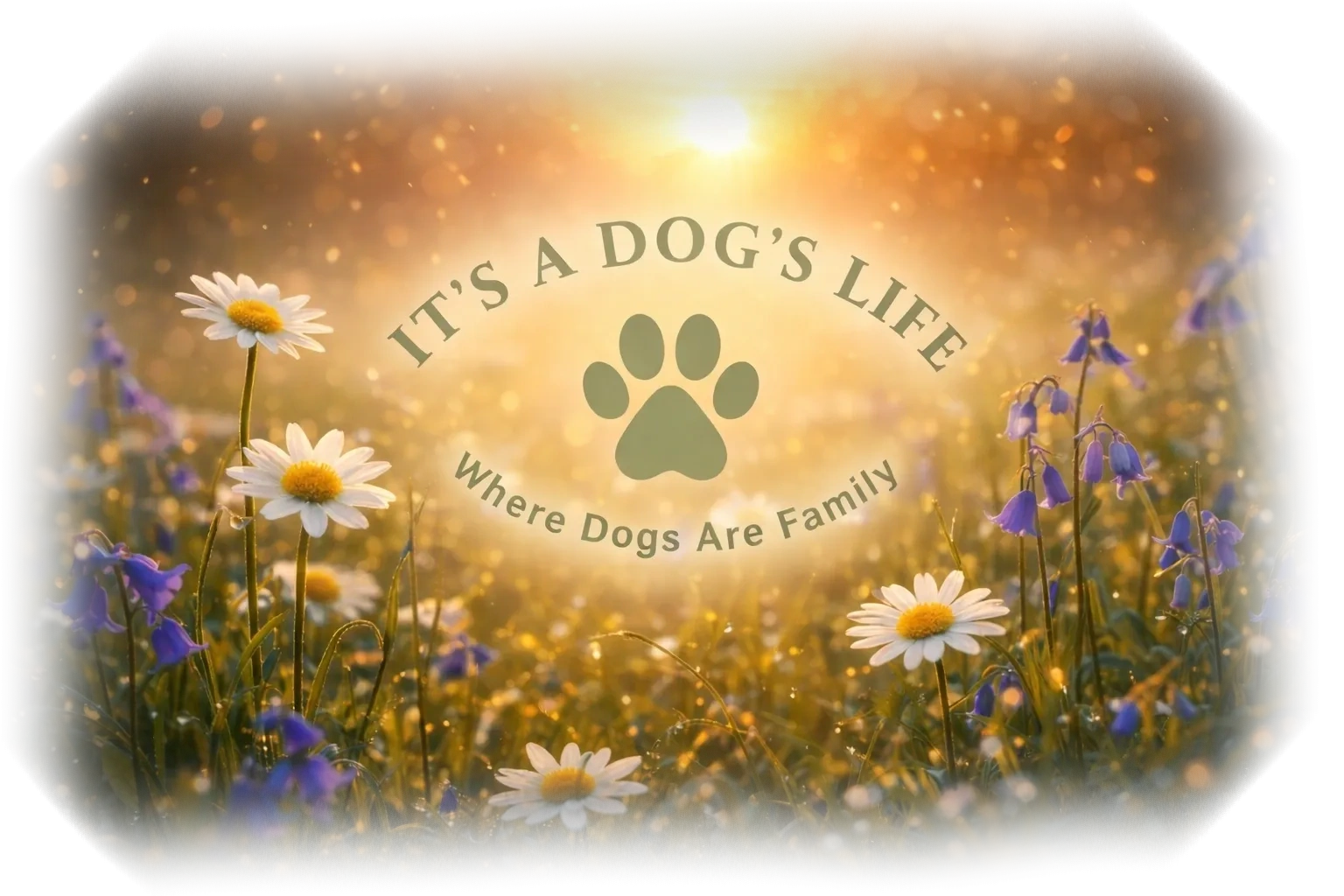 Sunlit meadow with daisies and bluebells, featuring a dog-themed quote.