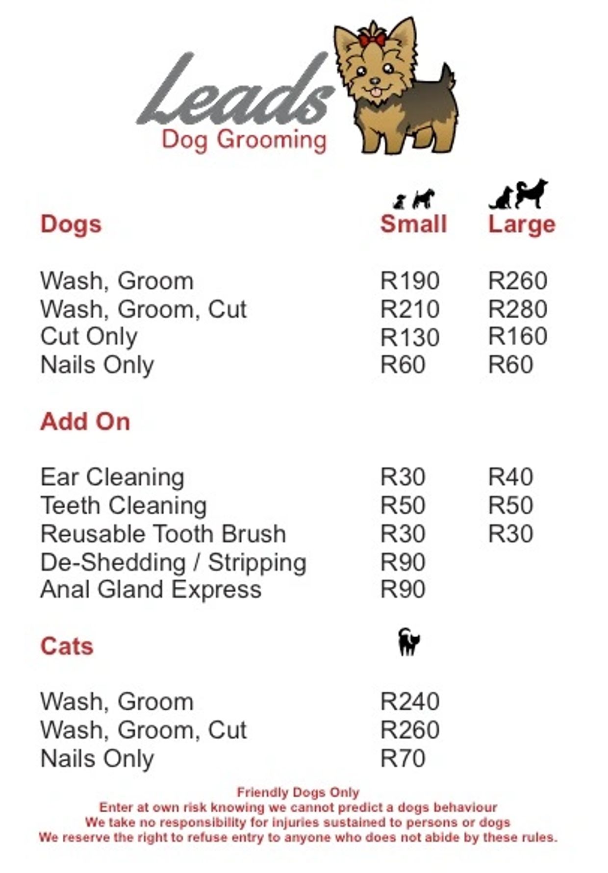 Dog Grooming Prices in 2023: How Much Does It Cost?