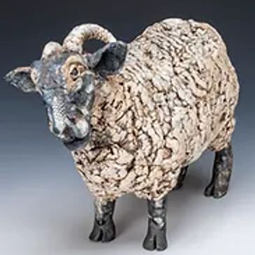 Sheep by Anne-Marie
