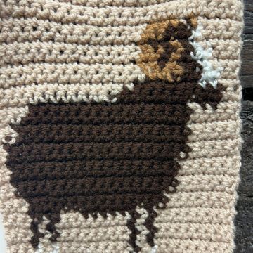 Crochet sheep image
