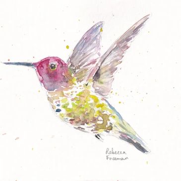 Hummingbird by Rebecca