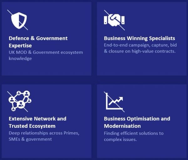 Key business and government expertise highlights.