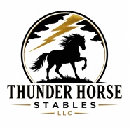 thunderhorsestable.com