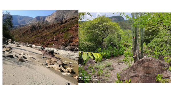 Disfrutar del Rio Chicamocha  nombre en lengua Guane como HILO DE PLATA EN NOCHE DE LUNA LLENA