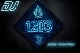 DJ 1203 Productions