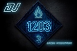 DJ 1203 Productions
