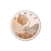 Venus + Cedar