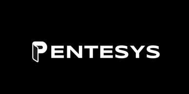 Pentesys LoGo
