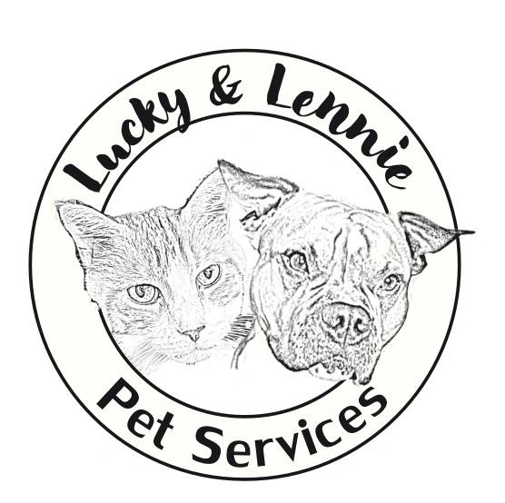 Grooming, Dog Walking New Orleans, Louisiana