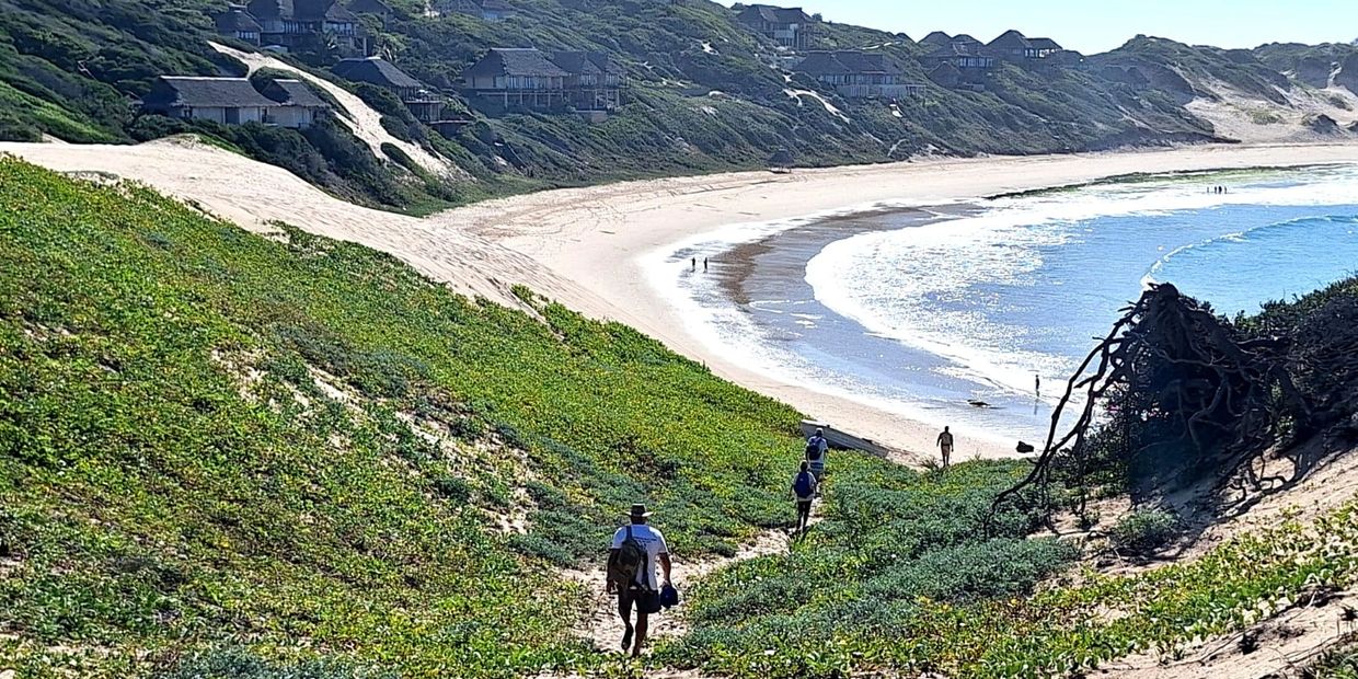 Hikers walking down a green hill towards a sandy beach with houses on the cliffs.