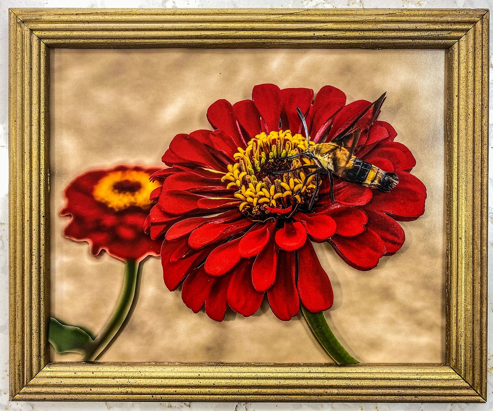 Dining on Dahlias Photomosaico hummingbird moth
