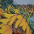 Photomosaico 3D layers sunflowers photograph, image