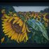 Photomosaico 3D layers sunflowers photograph, image