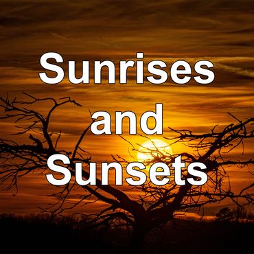 sunset, tree, orange, yellow, sunset obscura