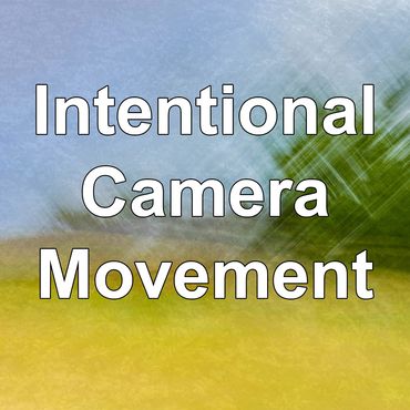 intentional camera movement, trees, field, watercolor trees