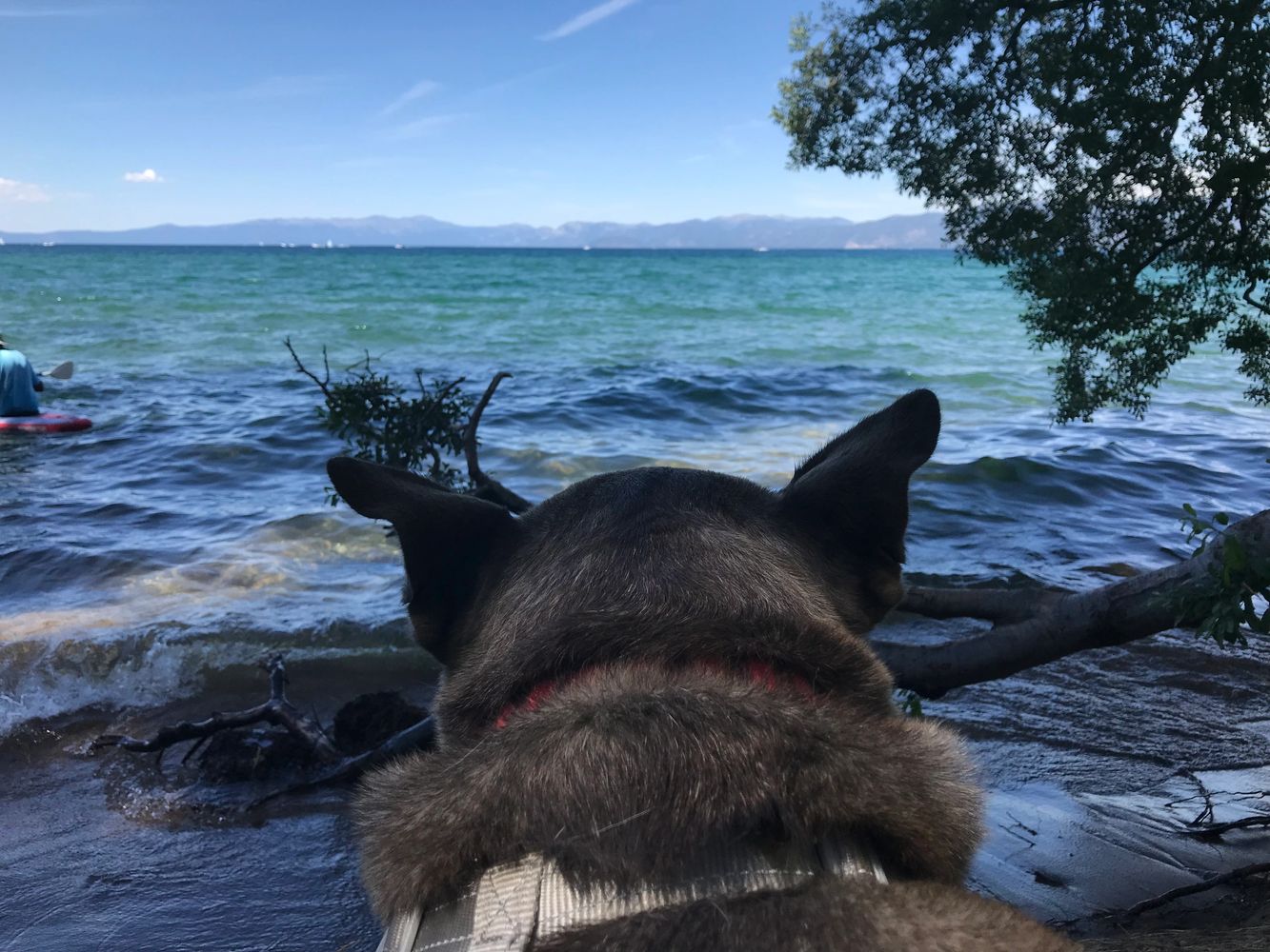 Camping South Lake Tahoe