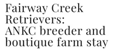 Fairway Creek Retrievers:
ANKC breeder and boutique farm stay