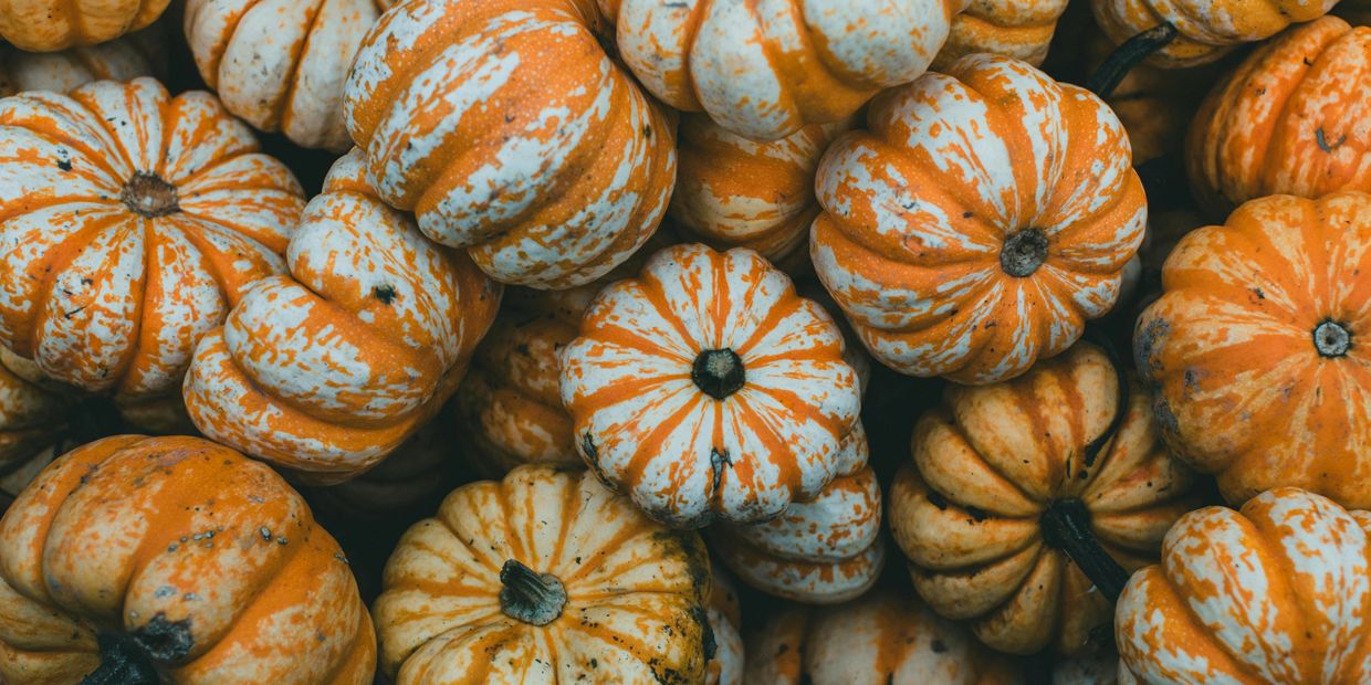 A pile of small orange and white striped pumpkins.