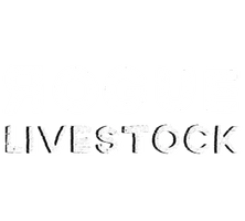 www.roguecattleco.com