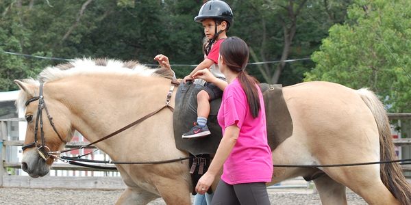 Client in a speech therapy session on a horse, horse being long lined. 
