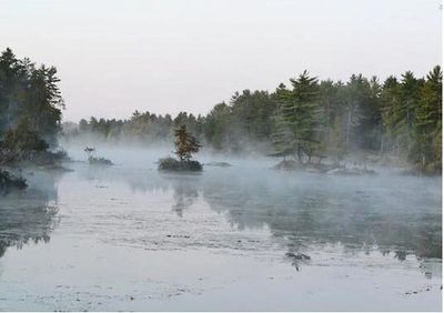 Mist rises over a calm river surrounded by pine trees.