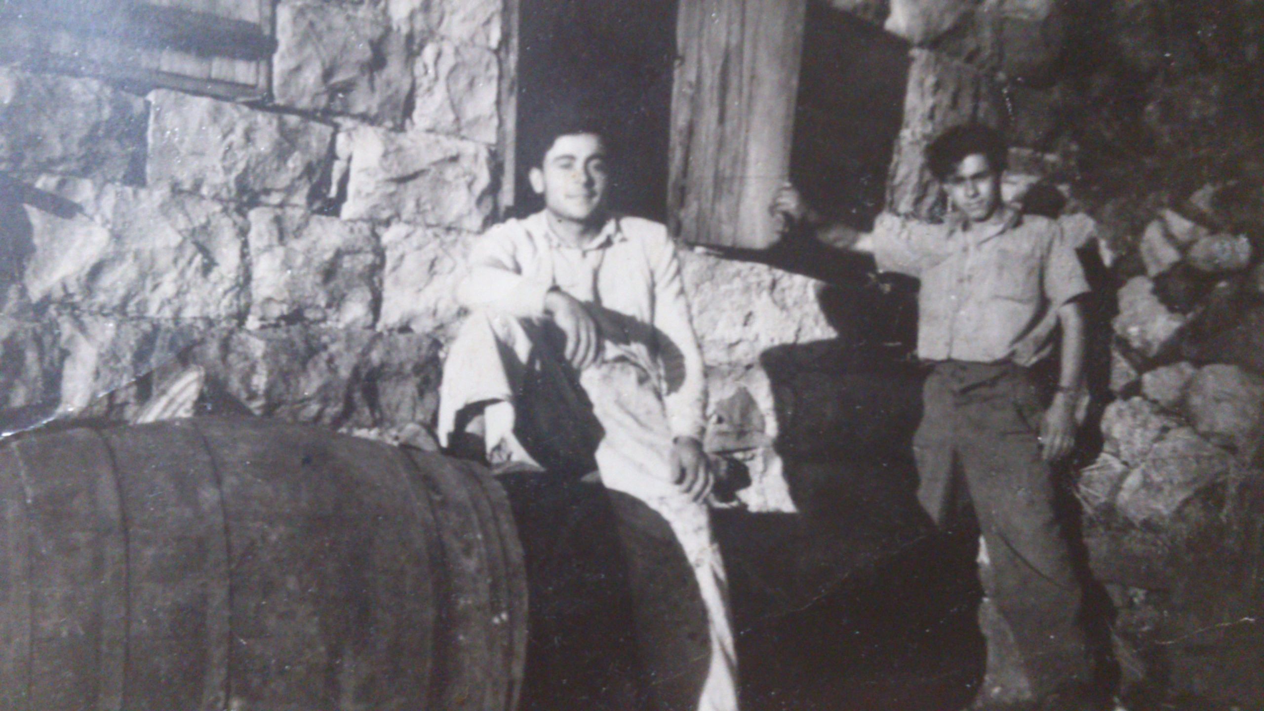 Wine, Whisky, Arak, Gin, Vodka, Liqueur - RIACHI