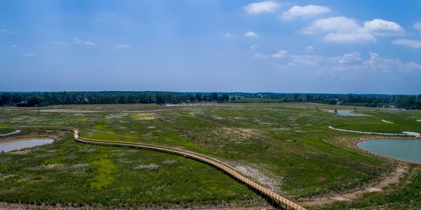 Boardwalk at Howard Marsh