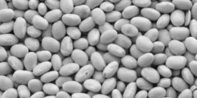 Close-up of numerous smooth white beans clustered together.
