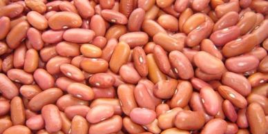 Close-up of a pile of red kidney beans.
