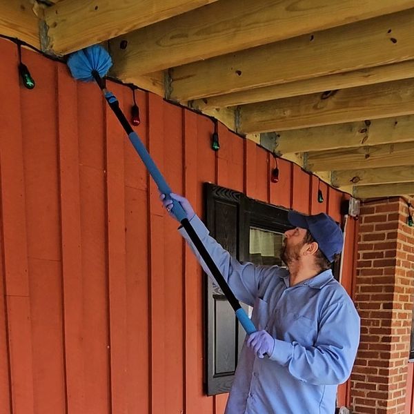 Cobweb removal