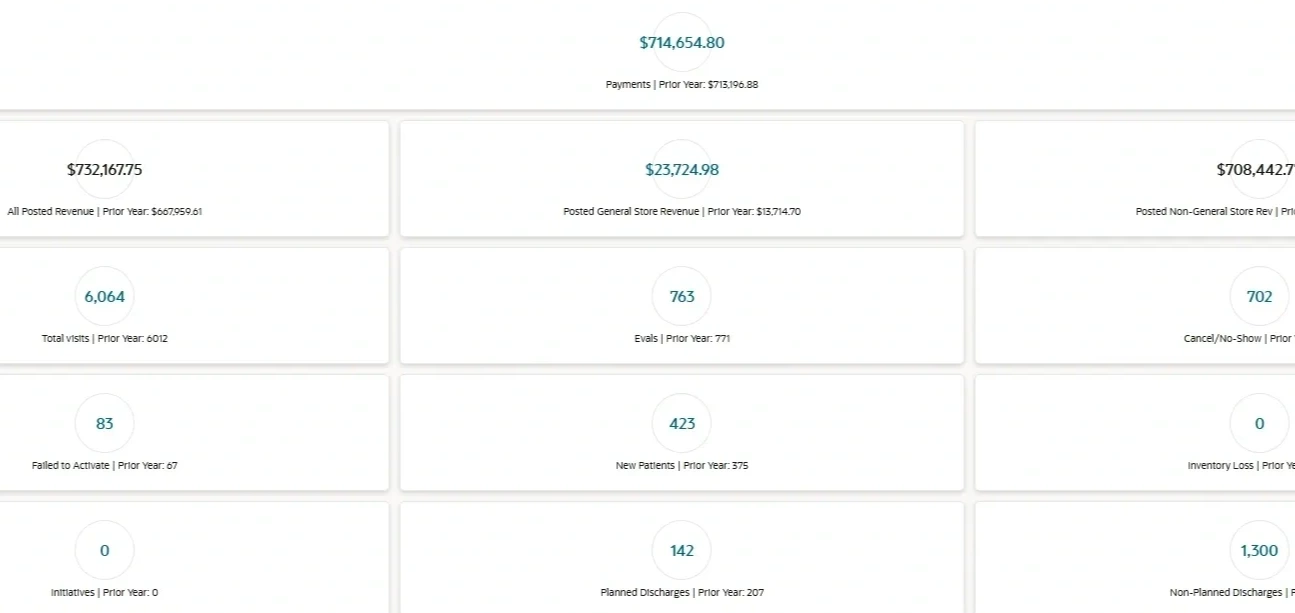 Dashboard showing financial and visit metrics with comparisons to prior year.