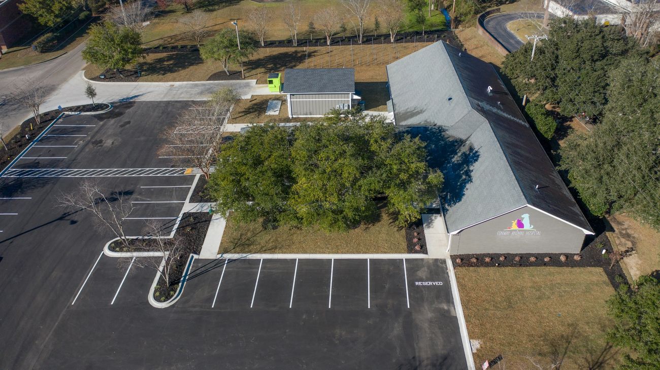 Tour Our Facility Conway Animal Hospital