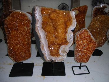 Up to 10 Lbs in weight